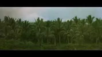 Apocalypse Now - 1979 ‧ Drama/Adventure ‧ 2h 33m