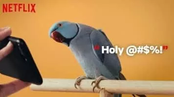 Bird Box - 2018 ‧ Drama/Thriller ‧ 2h 4m