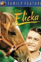 Flicka - 2006 ‧ Adaptation/Drama ‧ 1h 50m