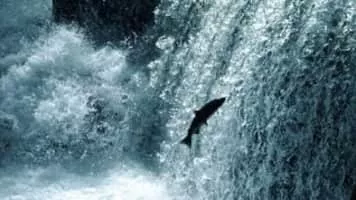 Kang San Ae - South Korean singer