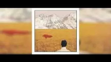 Lady Lamb the Beekeeper - American songwriter