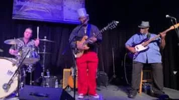 Lil' Ed Williams - American guitarist