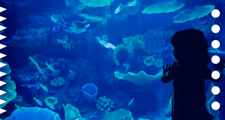 Otkrytyi Okean Centr Okeanografii Chastnoe KUL'Turno-Prosvetitel'Noe Uchrezhdenie Minsk - 