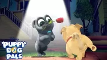 Puppy Dog Pals - American animated series