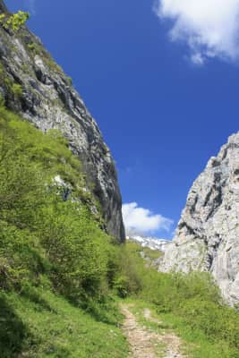 reserva natural parcial de pelono foz de la escalada - 