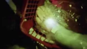 Sontag Shogun - Musical band