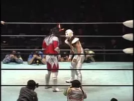 Super Delfin - Japanese politician