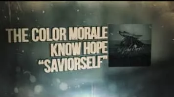 The Color Morale - 