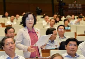 Tran Thi Quoc Khanh (Trần Thị Quốc Khánh) - 