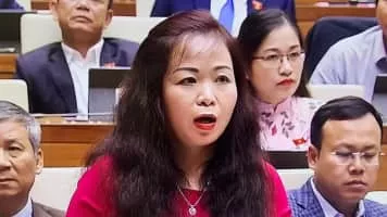 Vu Thi Luu Mai (Vũ Thị Lưu Mai) - Politician
