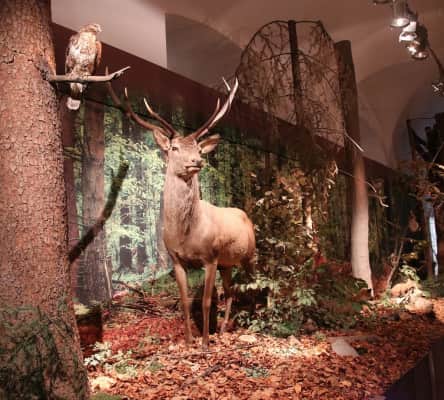 wachock abbey muzeum przyrodnicze swietokrzyskiego parku narodowego na swietym krzyzu - Museum in Poland