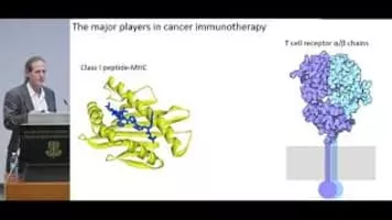 Xiaoliang Sunney Xie - Chinese biophysicist