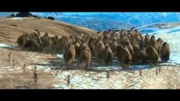 10,000 BC - 2008 ‧ Fantasy/Thriller ‧ 1h 49m