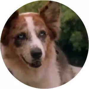 100 Deeds for Eddie McDowd