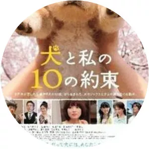 10 Promises to My Dog