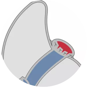 121st Infantry Regiment - Army unit