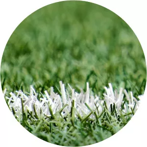 12 Again Sports Days SpecialSince 2014