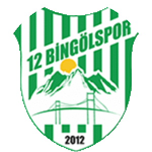 12 Bingolspor