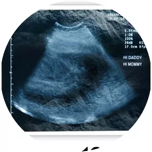 12th & Delaware - 2010 ‧ Documentary ‧ 1h 30m