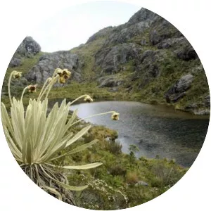 14322 Shakura photograph