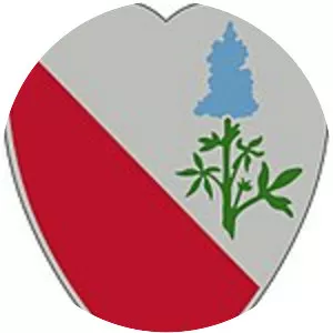 15th Brigade Support Battalion - Army unit