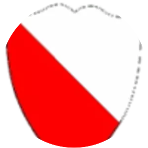 15th Engineer Battalion - Army unit