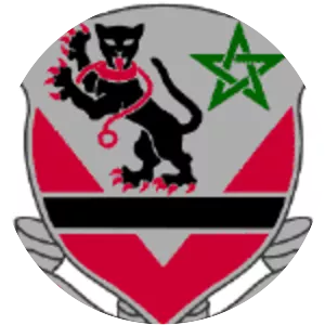 16th Engineer Battalion - Army unit