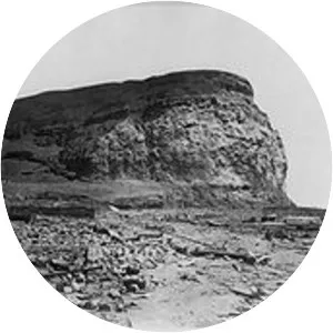 1868 Arica earthquake - 