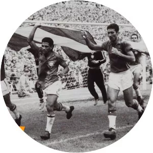 1958 FIFA World Cup Final