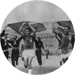 1958 FIFA World Cup - Tournament