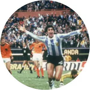 1978 FIFA World Cup Final