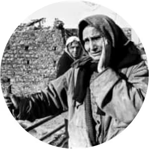 1980 Irpinia earthquake - 