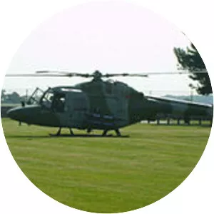 1994 British Army Lynx shootdown