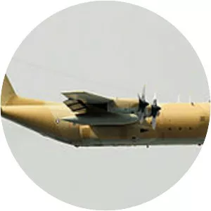1994 Iranian Air Force C-130 shootdown
