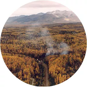 1995 Alaska Boeing E-3 Sentry accident - Airplane crash