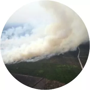 1997 Indonesian forest fires - 