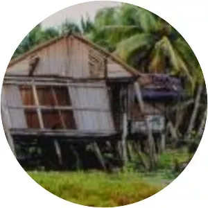 1998 Papua New Guinea earthquake - 