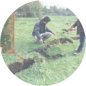1999 Düzce earthquake - 