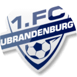 1. FC Neubrandenburg 04 photograph