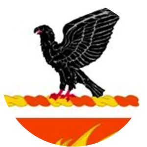 1st Cavalry Regiment