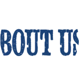 1st Massachusetts Volunteer . . .