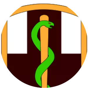 1st Medical Brigade