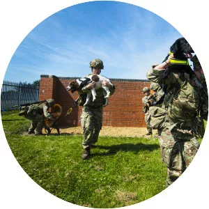 1st Military Working Dog Regiment