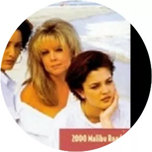 2000 Malibu Road - TV series