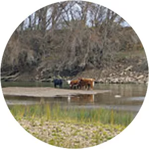 2000s Australian drought - 