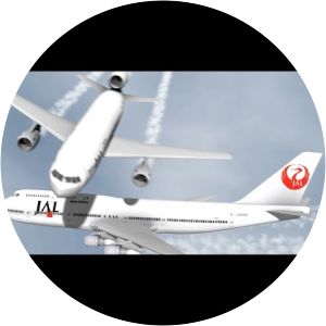 2001 Japan Airlines mid-air incident - Airline crash