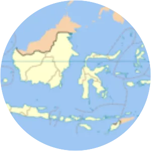 20032004 Indonesian offensive in Aceh