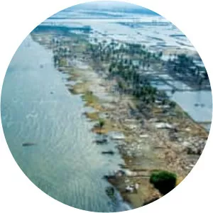 2004 Indian Ocean earthquake and tsunami - 