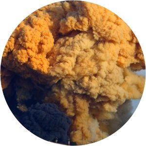 2005 Jilin chemical plant explosions - Nov 13, 2005 – Nov 14, 2005