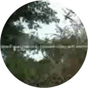 2006 East Timorese crisis